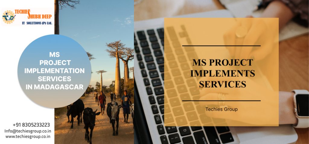 MS PROJECT IMPLEMENTS SERVICES IN MADAGASCAR