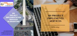 MS PROJECT IMPLEMENTS SERVICES IN ARGENTINA