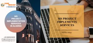 MS PROJECT IMPLEMENTS SERVICES IN ALGERIA