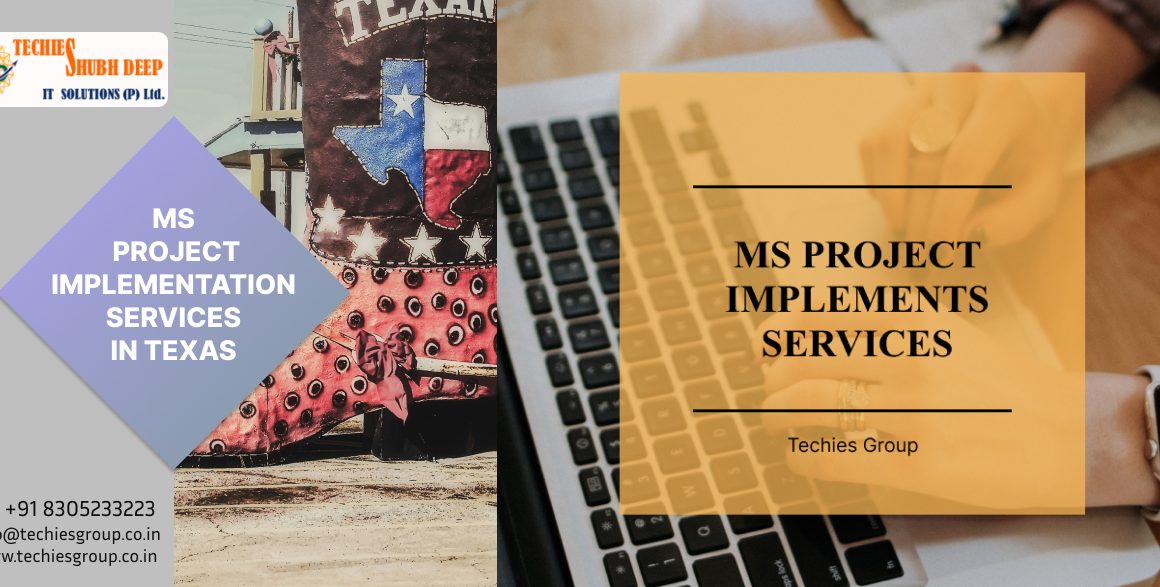 BEST MS PROJECT IMPLEMENTS SERVICES IN TEXAS