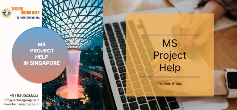MS PROJECT HELP IN SINGAPORE