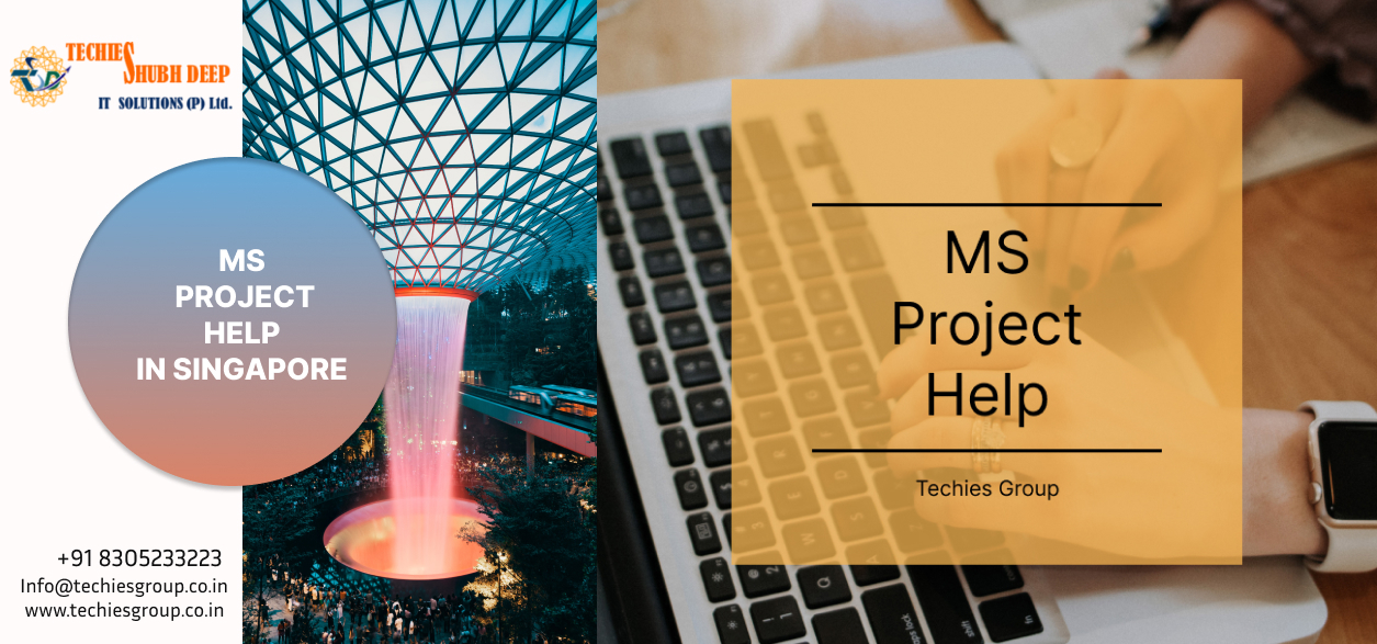 MS PROJECT HELP IN SINGAPORE