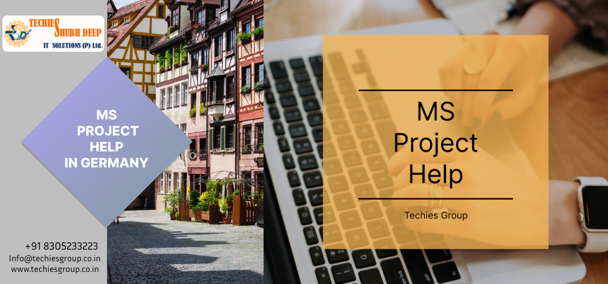 MS PROJECT HELP IN GERMANY