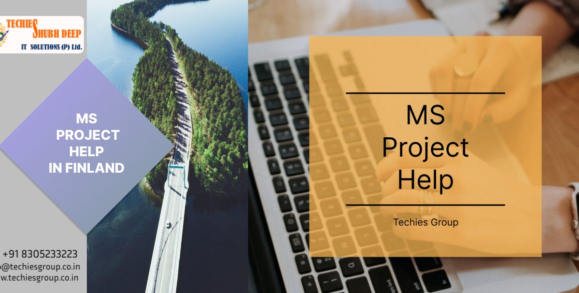 MS PROJECT HELP IN FINLAND