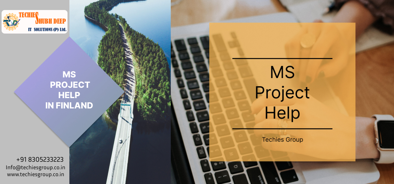 MS PROJECT HELP IN FINLAND