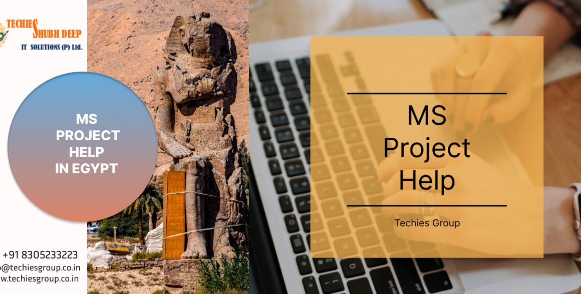MS PROJECT HELP IN EGYPT