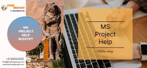 MS PROJECT HELP IN EGYPT