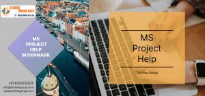 MS PROJECT HELP IN DENMARK