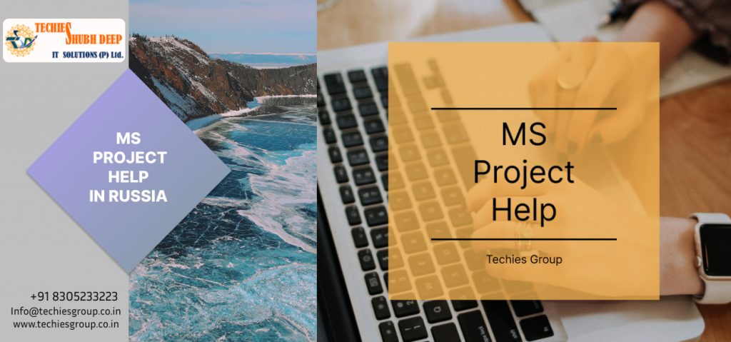 MS PROJECT HELP IN RUSSIA