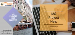 MS PROJECT HELP IN LATVIA