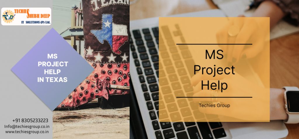 MS PROJECT HELP IN TEXAS