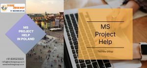 MS PROJECT HELP IN POLAND