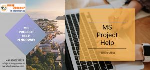 MS PROJECT HELP IN NORWAY