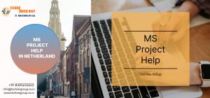 MS PROJECT HELP IN NETHERLAND