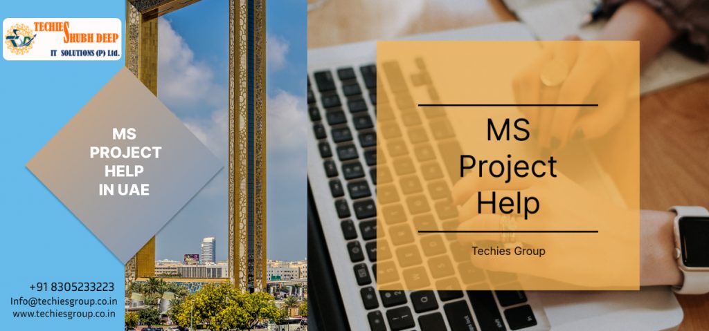 MS PROJECT HELP IN UAE