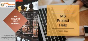 MS PROJECT HELP IN NEPAL