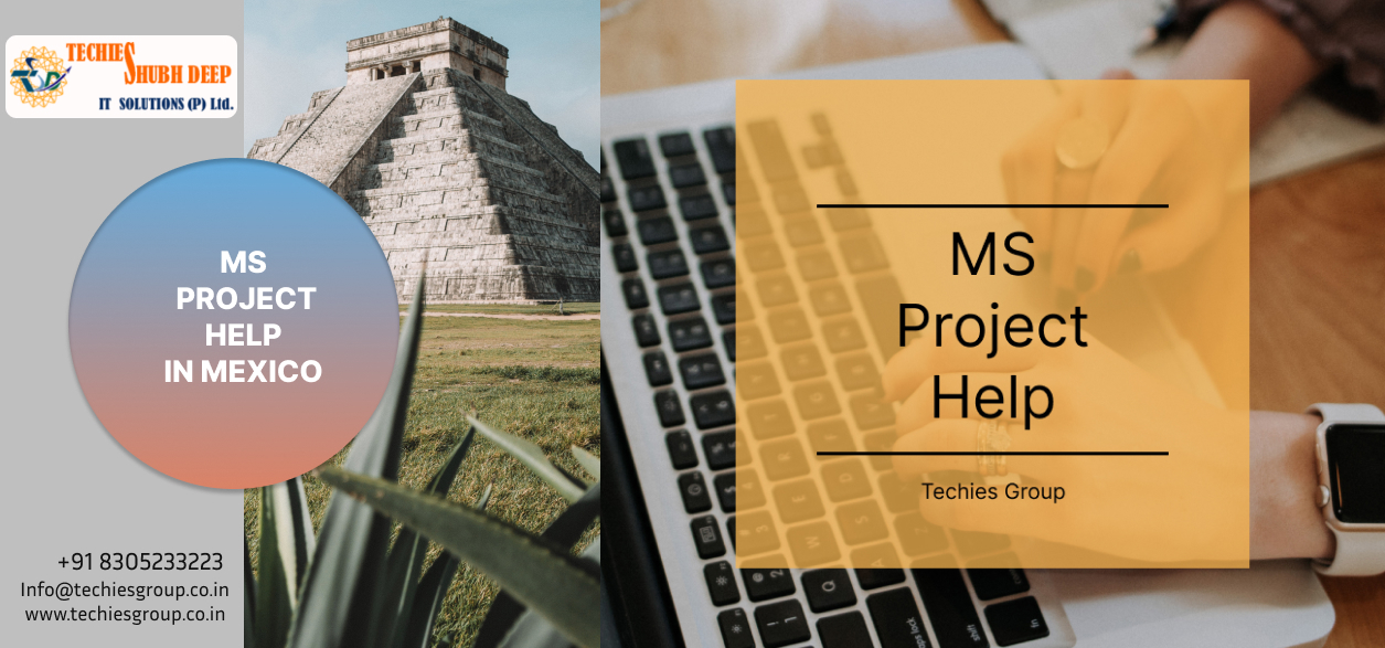 MS PROJECT HELP IN MEXICO