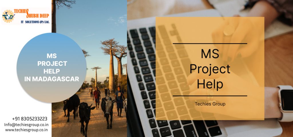 MS PROJECT HELP IN MADAGASCAR