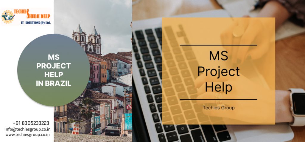 MS PROJECT HELP IN BRAZIL