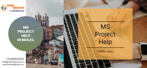 MS PROJECT HELP IN BRAZIL