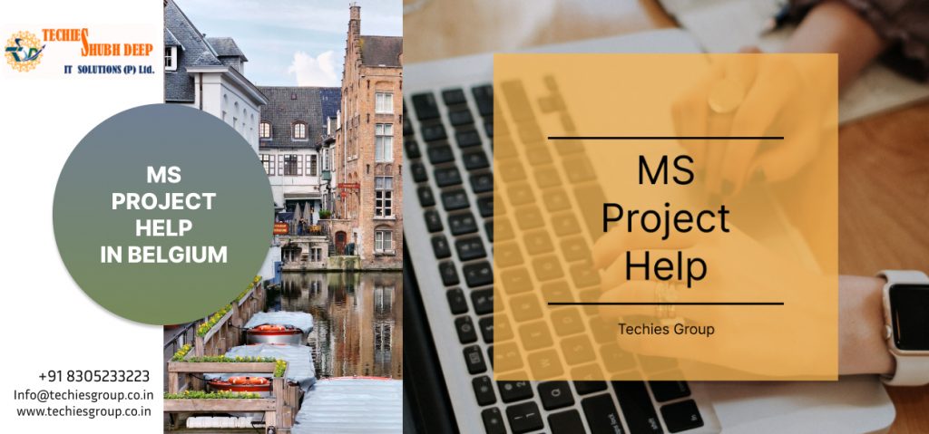 MS PROJECT HELP IN BELGIUM