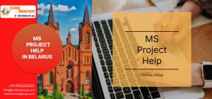 MS PROJECT HELP IN BELARUS