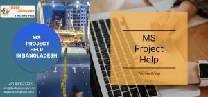 MS PROJECT HELP IN BANGLADESH