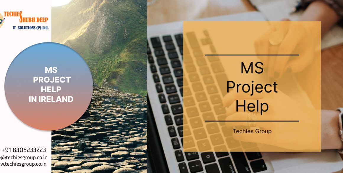 MS PROJECT HELP IN IRELAND
