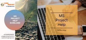 MS PROJECT HELP IN IRELAND