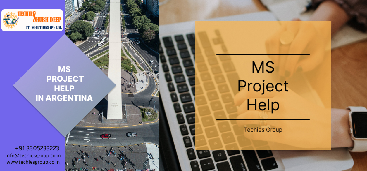MS PROJECT HELP IN ARGENTINA