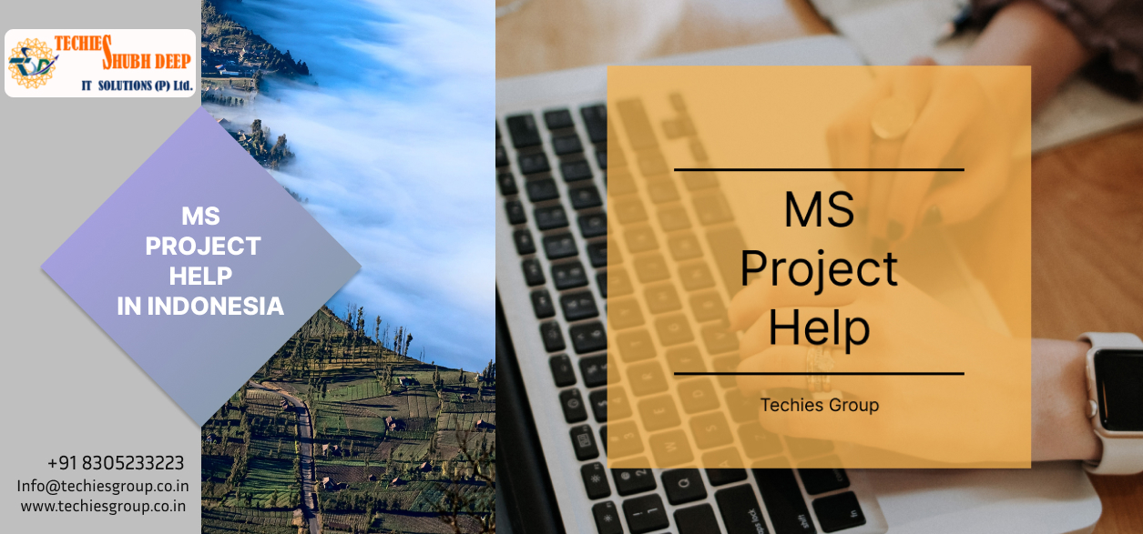 MS PROJECT HELP IN INDONESIA