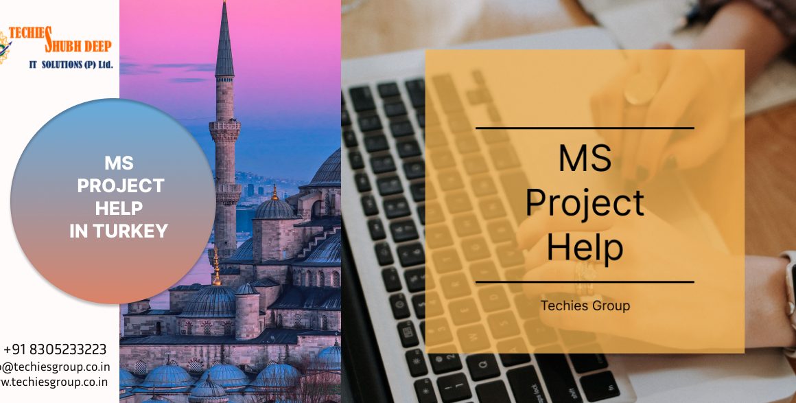 MS PROJECT HELP IN TURKEY