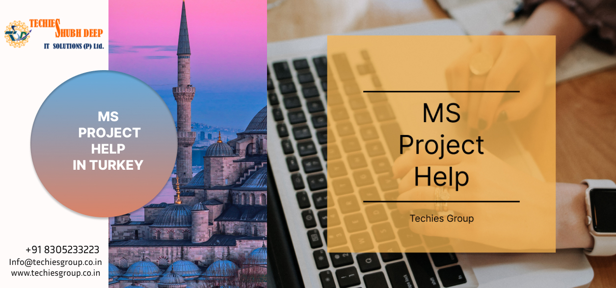 MS PROJECT HELP IN TURKEY