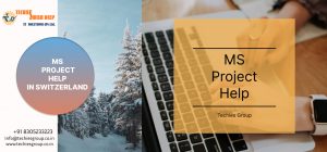 MS PROJECT HELP IN SWITZERLAND