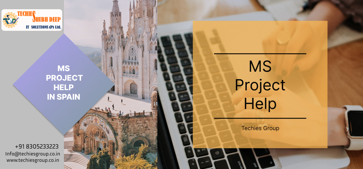 MS PROJECT HELP IN SPAIN
