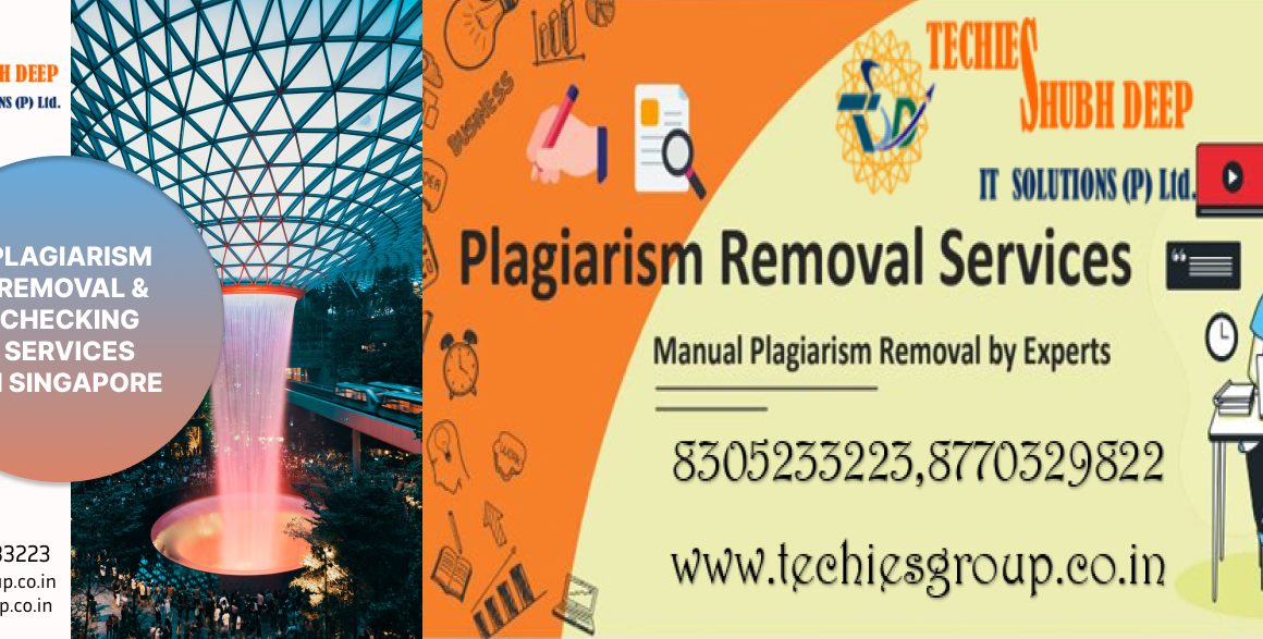 PLAGIARISM CHECKER AND REMOVAL SERVICES IN SINGAPORE