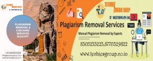 PLAGIARISM CHECKER AND REMOVAL SERVICES IN EGYPT