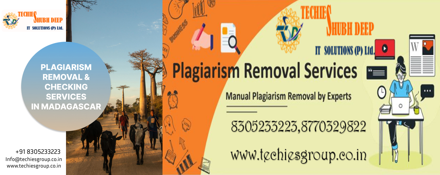 PLAGIARISM CHECKER AND REMOVAL SERVICES IN MADAGASCAR