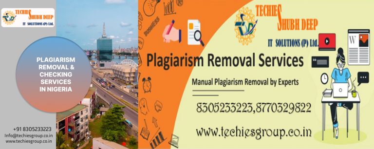 PLAGIARISM CHECKER AND REMOVAL SERVICES IN NIGERIA