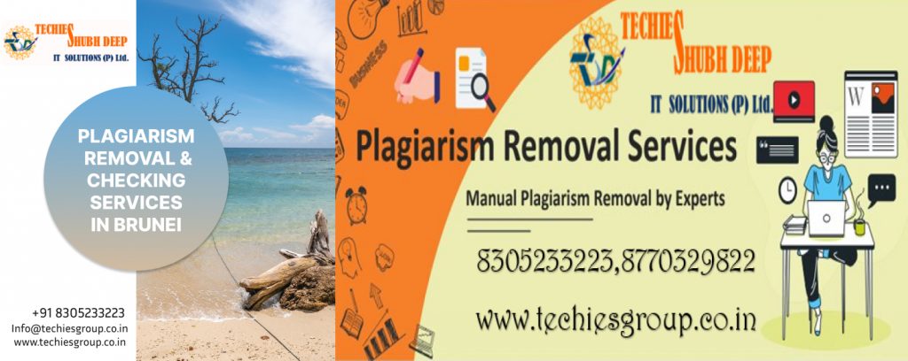 PLAGIARISM CHECKER AND REMOVAL SERVICES IN BRUNEI