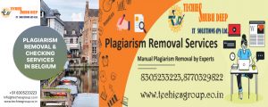 PLAGIARISM CHECKER AND REMOVAL SERVICES IN BELGIUM