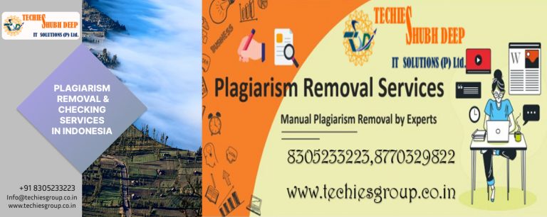 PLAGIARISM CHECKER AND REMOVAL SERVICES IN INDONESIA