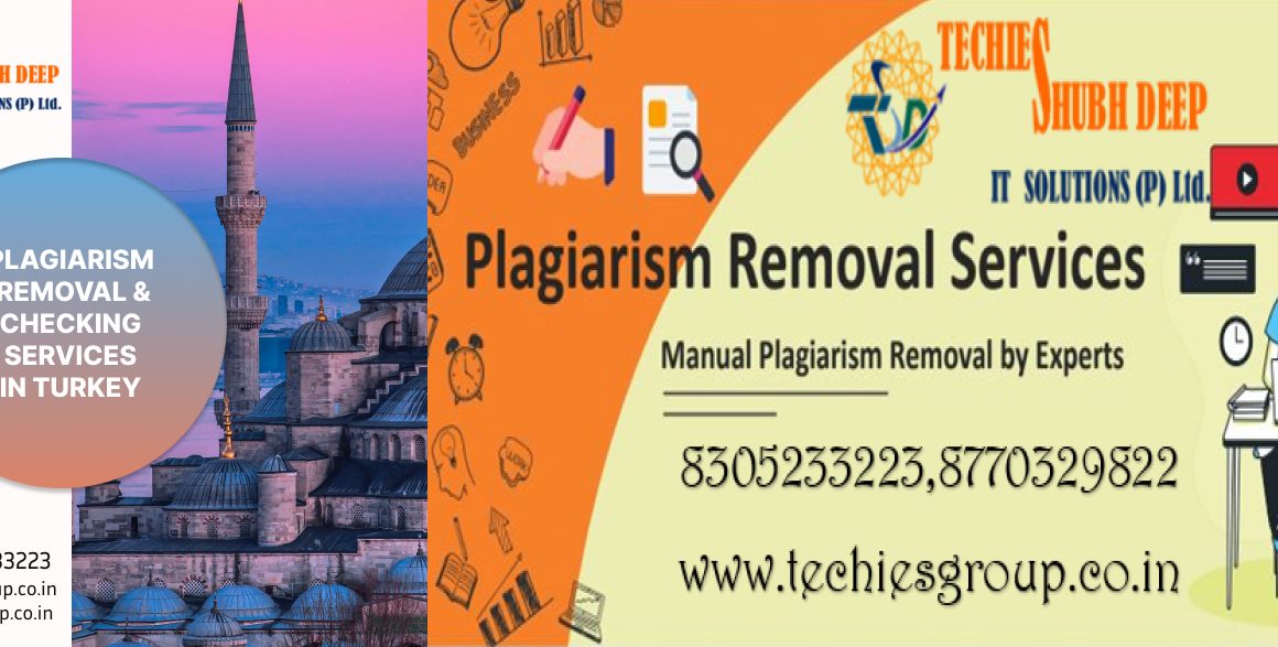 PLAGIARISM CHECKER AND REMOVAL SERVICES IN TURKEY
