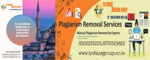 PLAGIARISM CHECKER AND REMOVAL SERVICES IN TURKEY